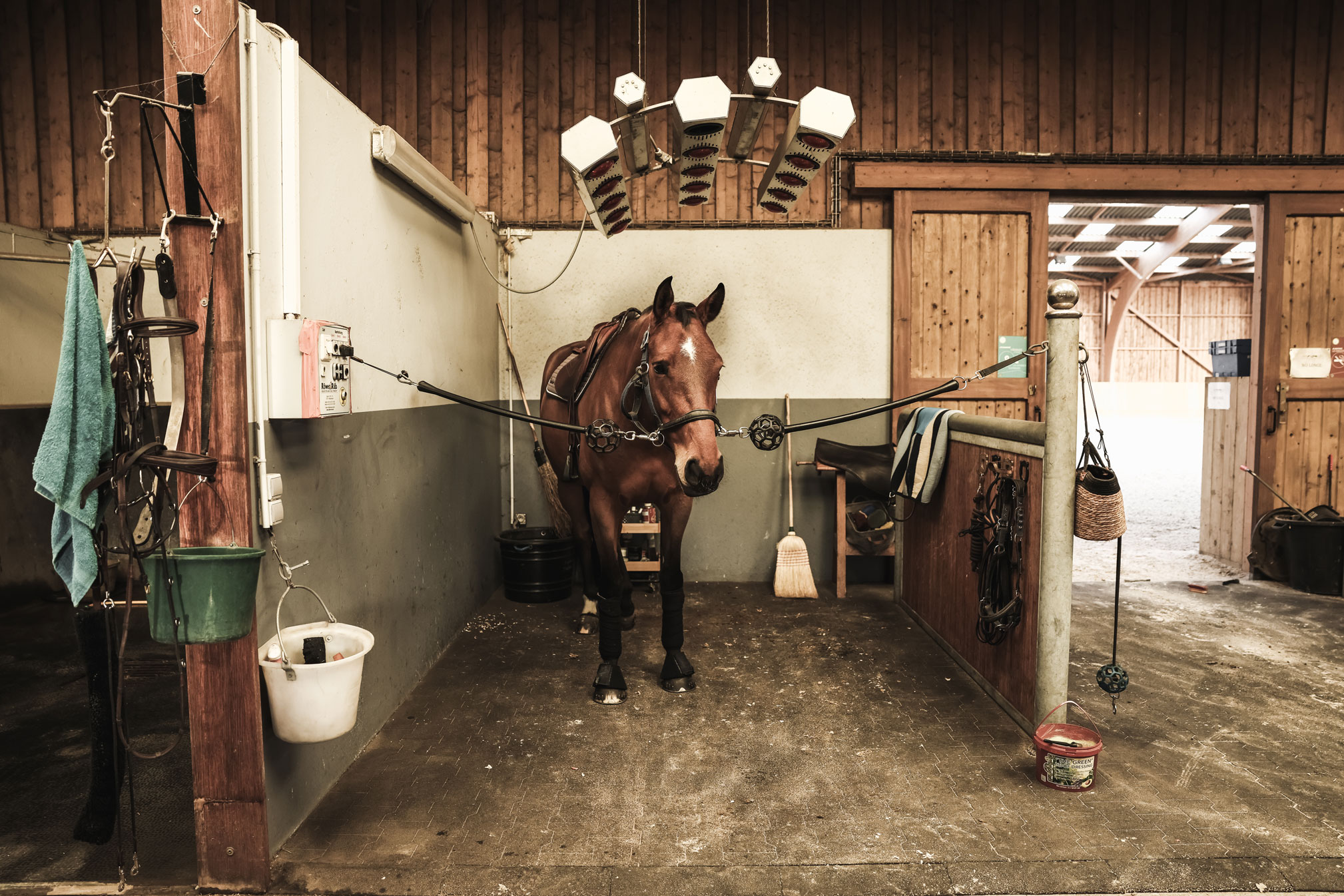 Haras du Breuil