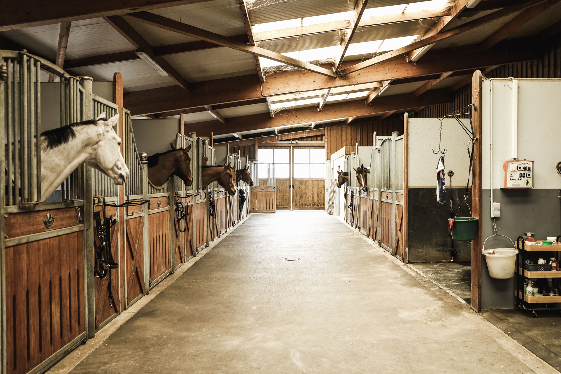 Haras du Breuil